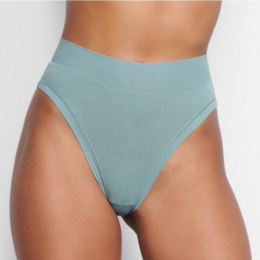SKIMS Summer Mesh Brief/ ARTIC/XXS, XS/ NWT